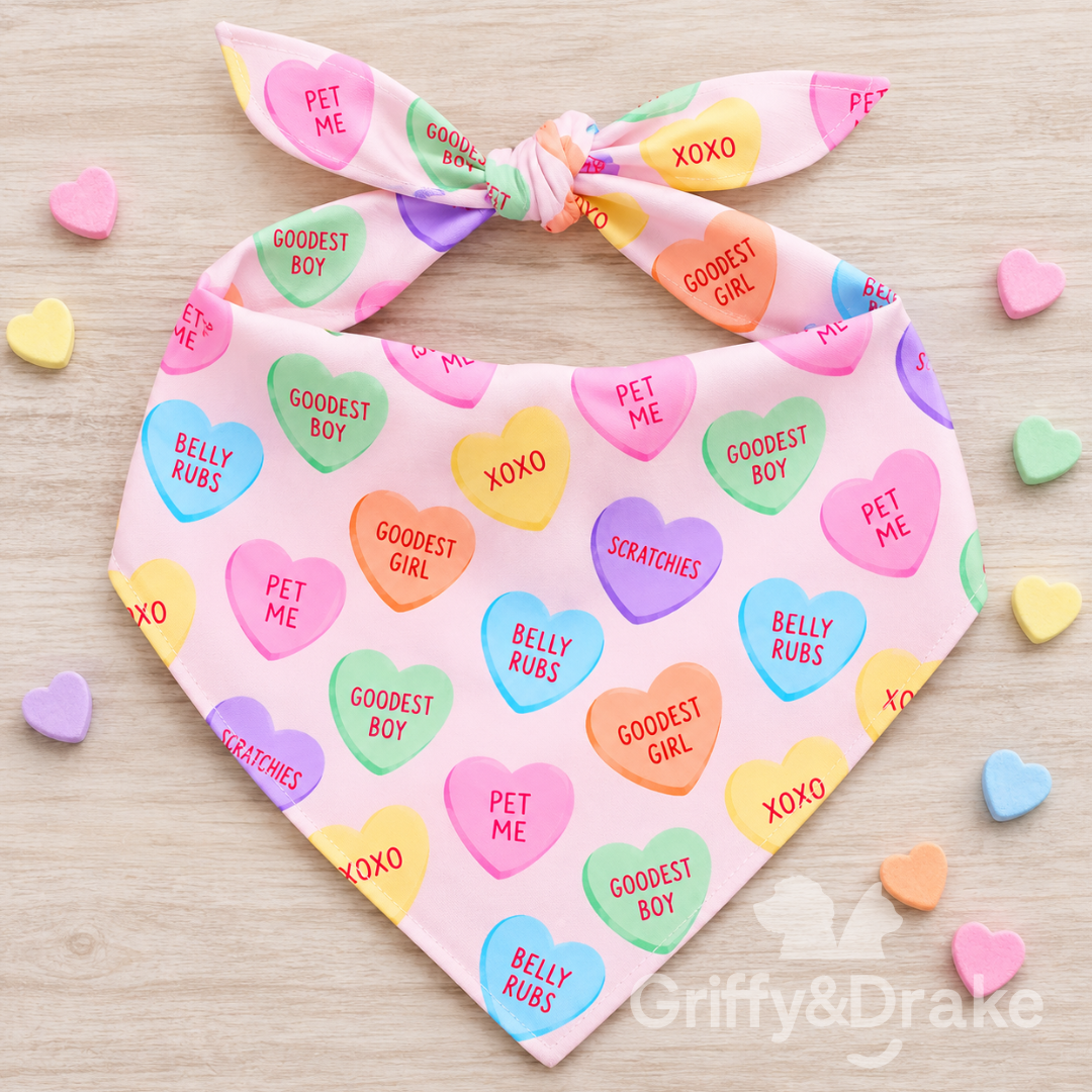 Griffy & Drake Puppy Love bandana with pastel conversation heart print